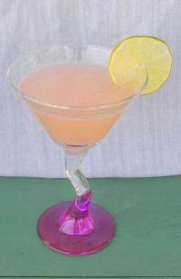 SAM_0562 Spiced Darwin