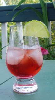 Sloe Lime Daiquiri