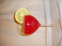 Appleton Celebration2