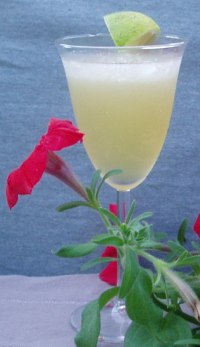 Agavera Margarita