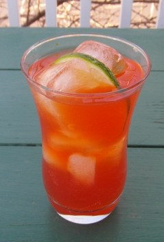 SAM_0740 Scottish Tumbler