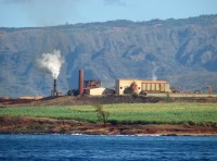 Olokele Sugar Mill on the Gay & Robinson&nbsp;Plantation