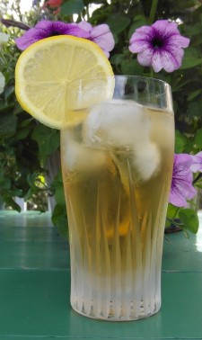 SAM_0493 Horses Neck