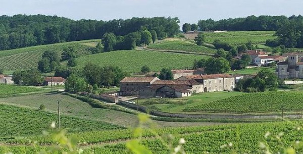 CF - Cognac Landscape