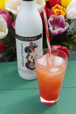 A Day at the Beach SAM_0728 A Day At The Beach