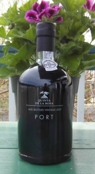 SAM_0749 Quinta de la Rosa LBV