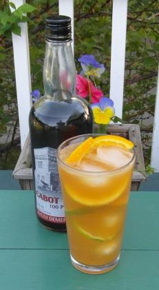 SAM_0807 Zombie Apocalypse