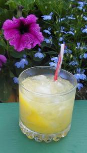 SAM_0827 Amazing Tickle