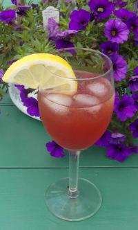 SAM_0849 Sloe Rum&nbsp;Sour