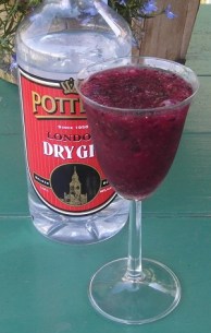 SAM_0904 Fieldberry Blender