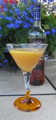 Peurto Plata Punch SAM_1158