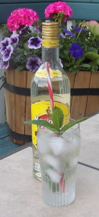Tonic Mojito SAM_1183