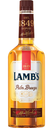 Palm Breeze