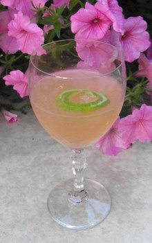 Lime Crusta with Sahara Dry Gin