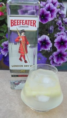 Beefeater and Tonic