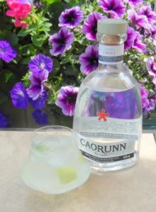 Caorunn and Tonic
