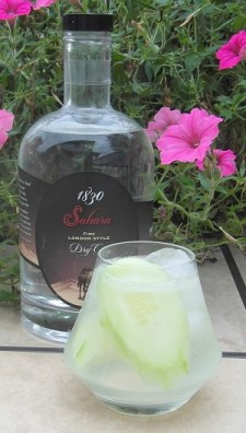 Sahara and Tonic SAM_1258