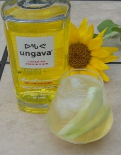 Ungava and Tonic SAM_1257