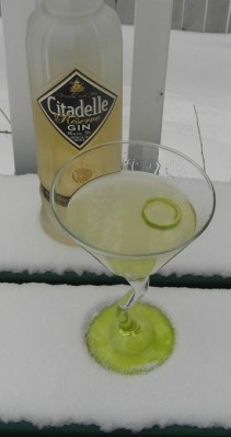 Citadelle Lime martini SAM_1464