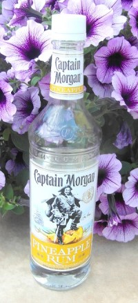 CM Pineapple SAM_1621