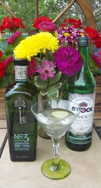 Gin Martini SAM_1603