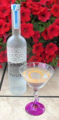 Taditional Martini SAM_1591