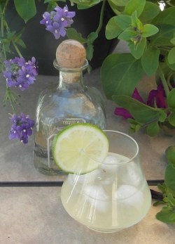 Eye for an Eye (a Margarita Style Cocktail)