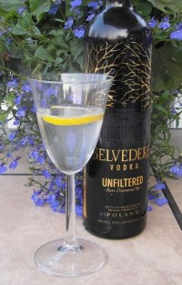 Unfiltered Dry Martini SAM_1581