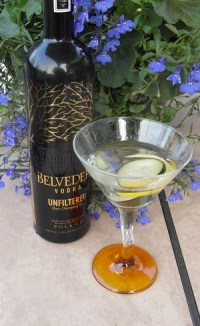 Unfiltered Reverse Vesper