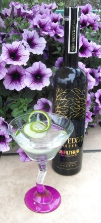 Dry Vodka Martini SAM_1606