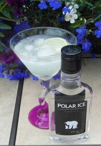 Iced Vodka Daiquiri SAM_1615