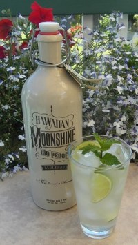 Moonshine Mojito SAM_1676