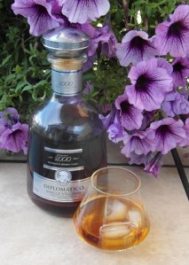 Spanish Diplomat SAM_1677