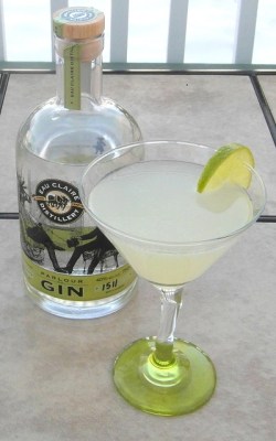 Lemon-lime Gimlet SAM_2439