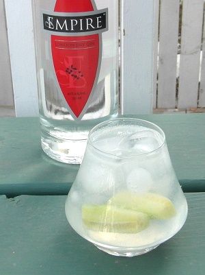 Gin and Tonic #2 SAM_2468