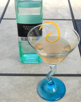 Gin Cocktail SAM_2473