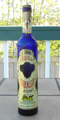 Corralejo Repo SAM_2537