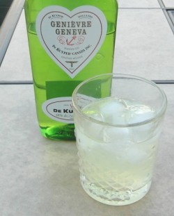 Cucumber Mint Cooler SAM_2485