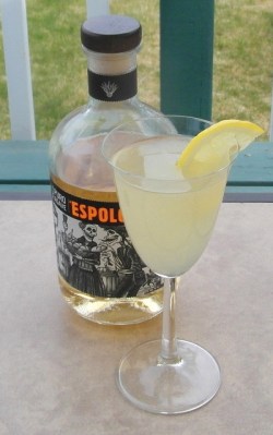 Lonely Silver Rain SAM_2572