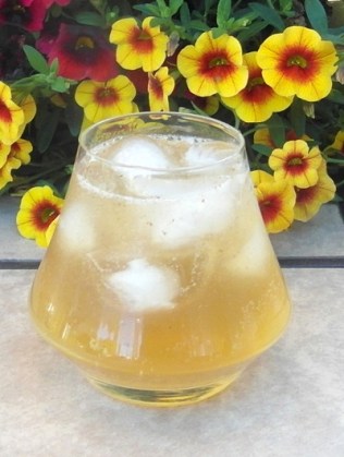 Flying Machine SAM_2725