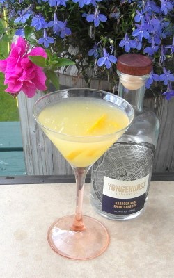 Yongehurst DaiquiriSAM_2708