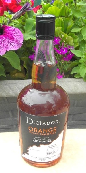 Dictador Orange SAM_2680