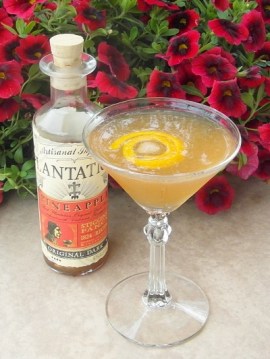 Fancy Autumn Pineapple SAM_2737