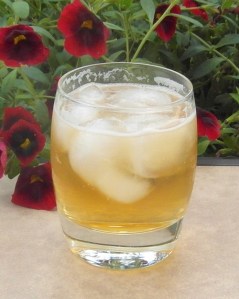 bourbon-and-ginger-sam_2760