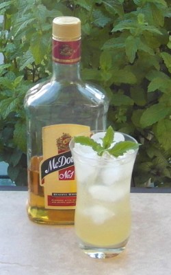 indian-summer-2-sam_2796