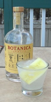 botanica-and-tonic-sam_2874