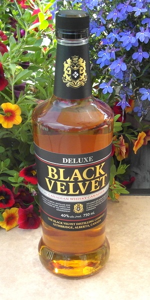 Black Velvet SAM_2642