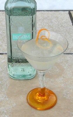 sentimental-bloom-sam_2938